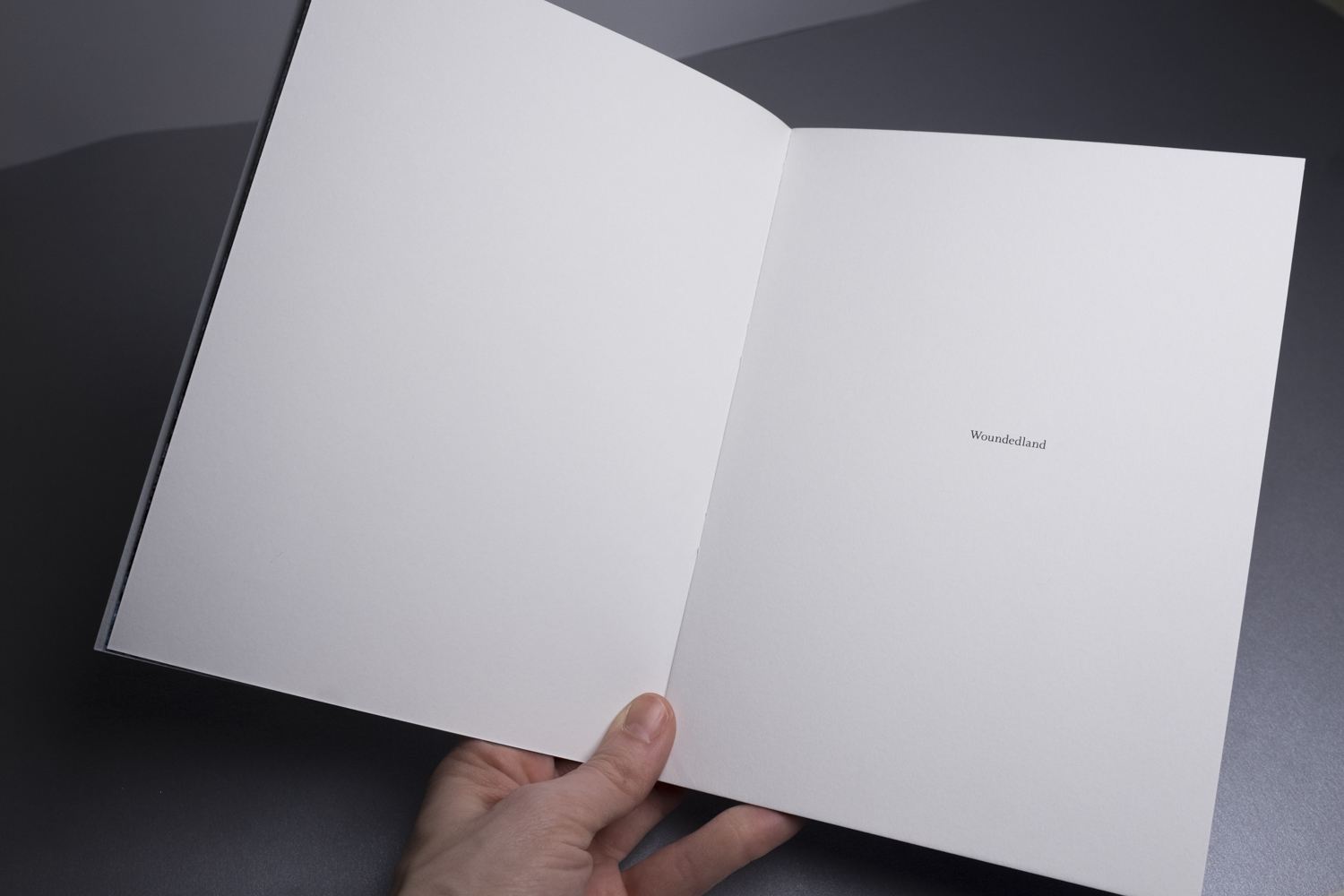 Woundedland Dummy (1)