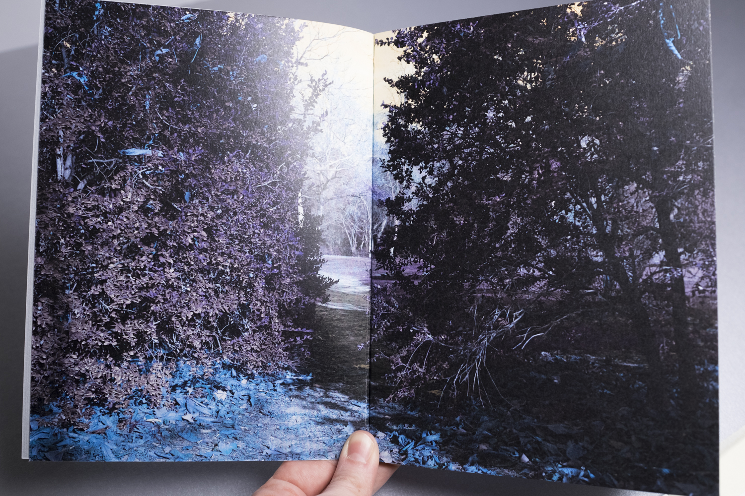 Woundedland Dummy (2)