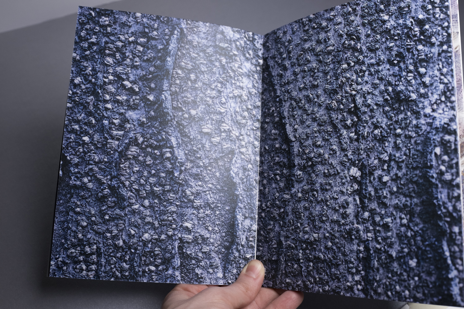 Woundedland Dummy (4)